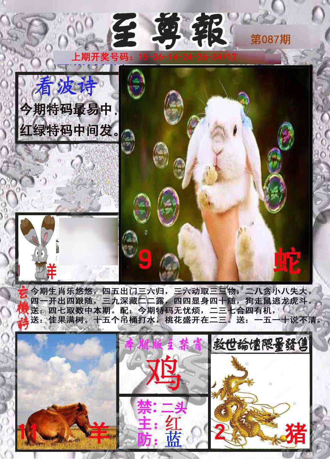 087期至尊报[图]